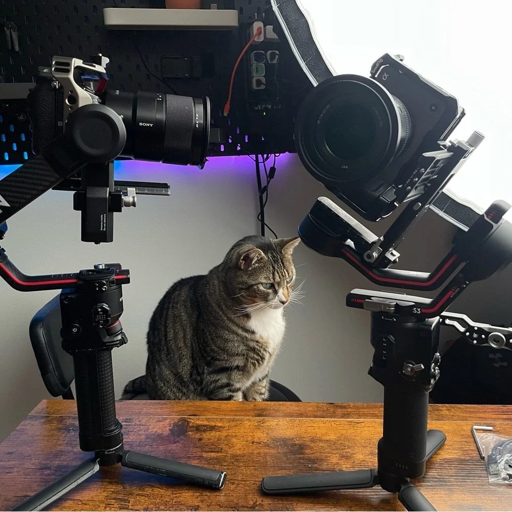 Camera gimbal